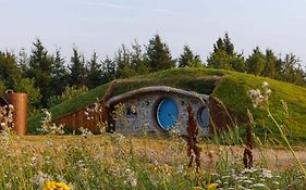 Terra Experience